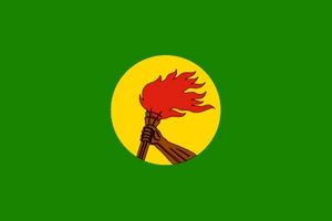 Флаг: Конго