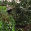 Rainforest � ��������� Tropical Islands